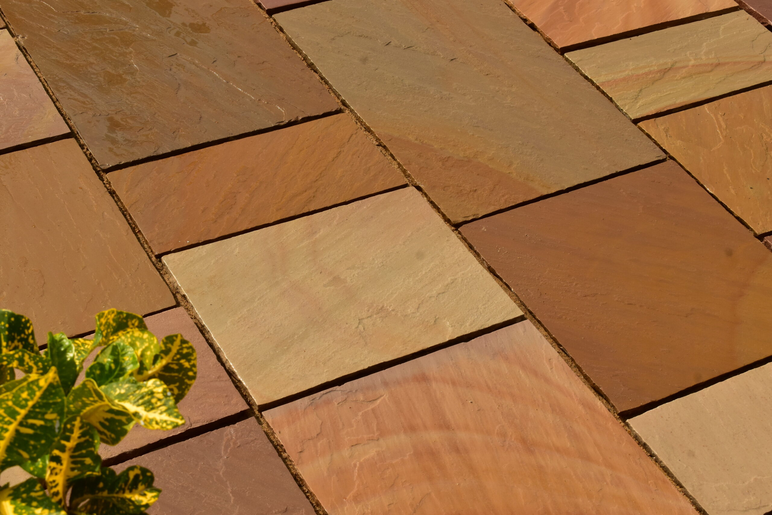 Rippon Pavers